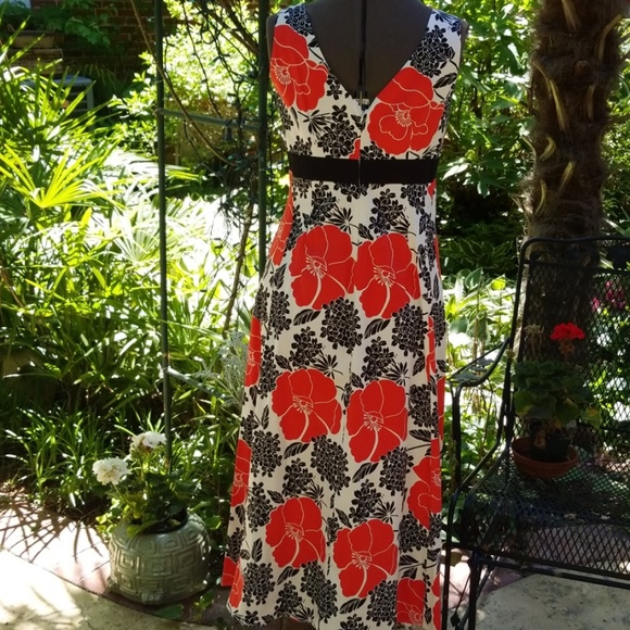 NWT Jonathan Martin Gorgeous Dress - Picture 4 of 8